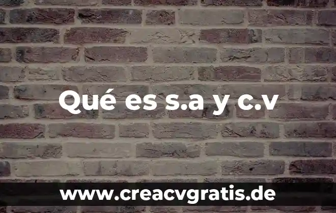 Qkl servicios s.a de c.v que es 4 Qué es s.a y c.v