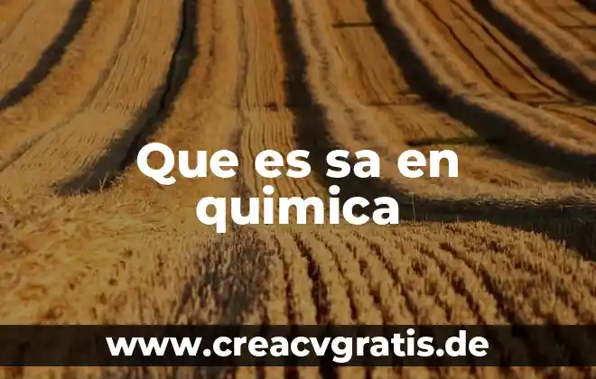 Qkl servicios s.a de c.v que es 6 Que es sa en quimica