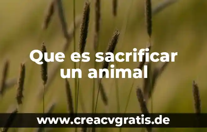 Tracción animal estacional que es 8 Que es sacrificar un animal