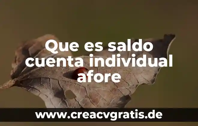 Que es saldo real en contabilidad 4 Que es saldo cuenta individual afore