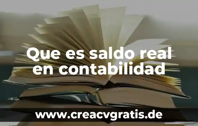 Que es saldo en informatica 3 Que es saldo real en contabilidad
