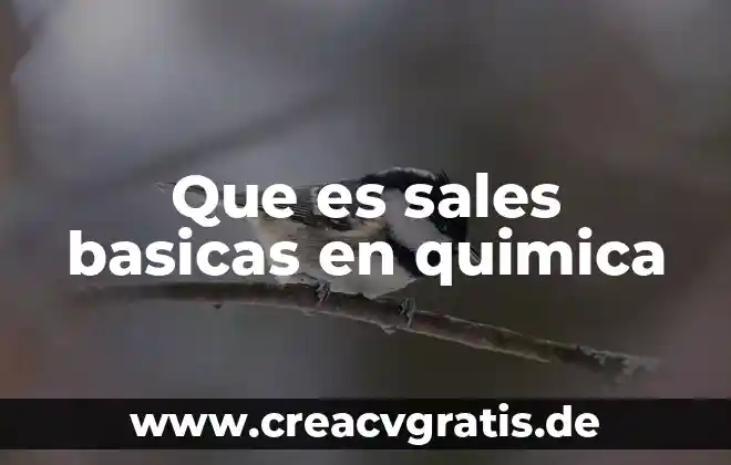 Qué es microcoulomb en química 5 Que es sales basicas en quimica