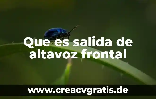 Que es una puerta de entrada y una de salida 3 Que es salida de altavoz frontal