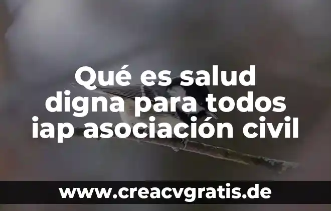 Que es la muerte digna segun la corte 3 Qué es salud digna para todos iap asociación civil