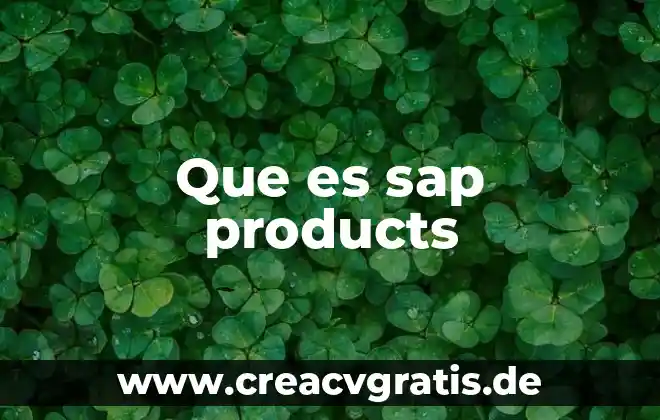 Qué es el número de SAP en Maxigás 7 Que es sap products