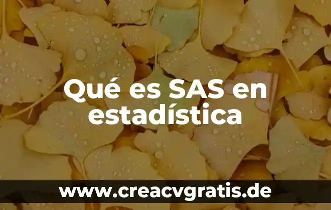 Que es estadistica y tipos de estadistica 5 Qué es SAS en estadística