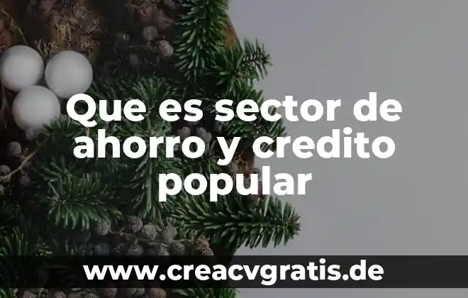Que es cultura popular rural 8 Que es sector de ahorro y credito popular