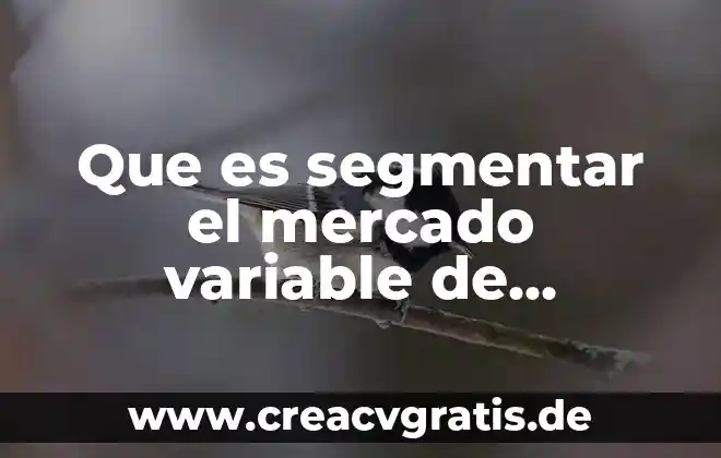 Qué es el número de identificación fiscal México 5 Que es segmentar el mercado variable de identificacion