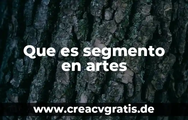 Que es bellas artes a todas partes 4 Que es segmento en artes