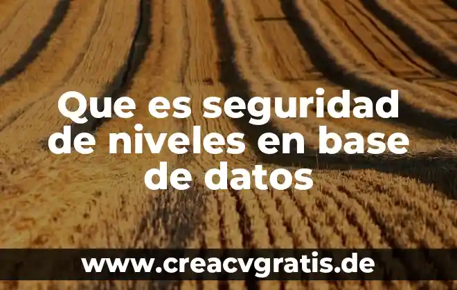 Que es analista base de datos funciones 3 Que es seguridad de niveles en base de datos