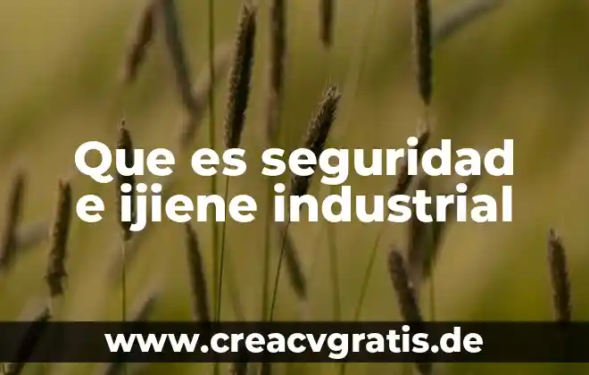 Que es swl seguridad 3 Que es seguridad e ijiene industrial