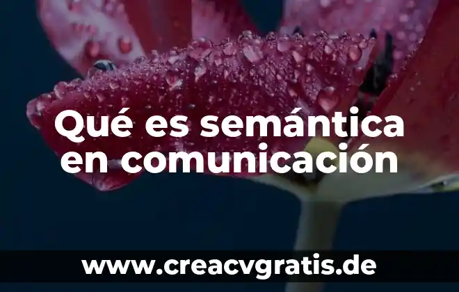 Que es tridimensional en tipos de comunicacion 8 Qué es semántica en comunicación