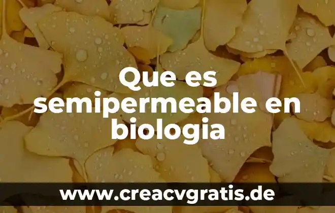 Que es un sol en finacke 7 Que es semipermeable en biologia