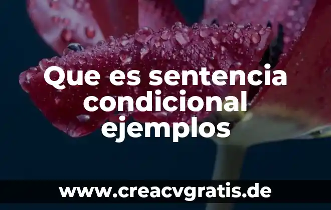 Qué es una planta anual o bianual 3 Que es sentencia condicional ejemplos