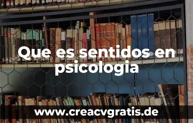 Qué es la psicología según los filosofos 5 Que es sentidos en psicologia