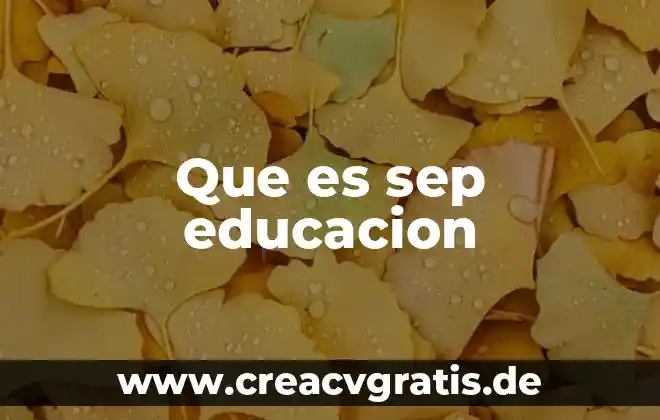 Qué es educación física y su significado 3 Que es sep educacion