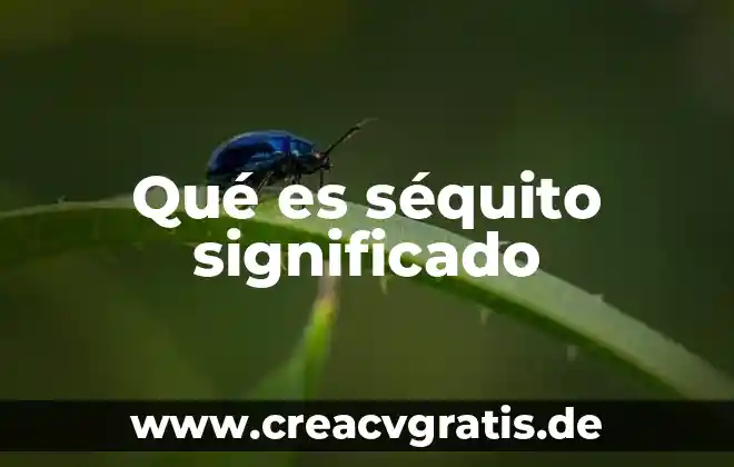 Que es la gestión de un proyecto socioeducativo 8 Qué es séquito significado
