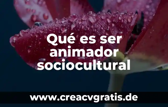 Qué es lo que exige ser un buen líder cristiano 3 Qué es ser animador sociocultural