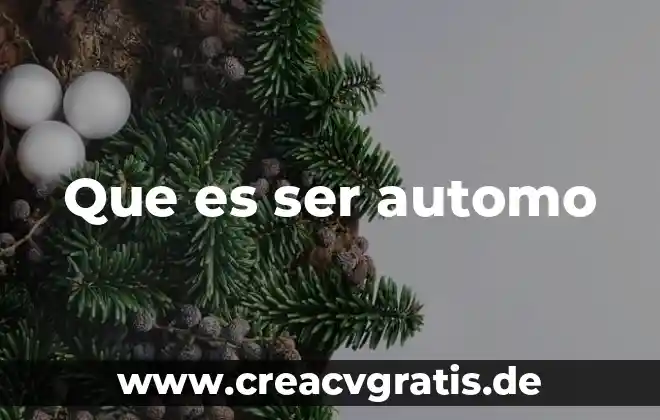 Que es significa palabra prolongada 5 Que es ser automo