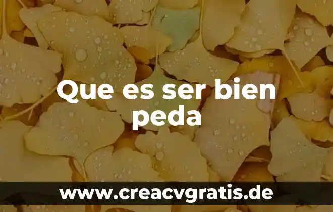 Que es ser payo 6 Que es ser bien peda