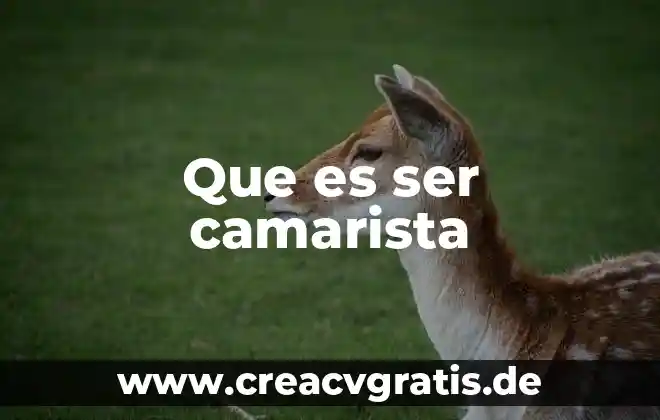 Que es ser payo 3 Que es ser camarista