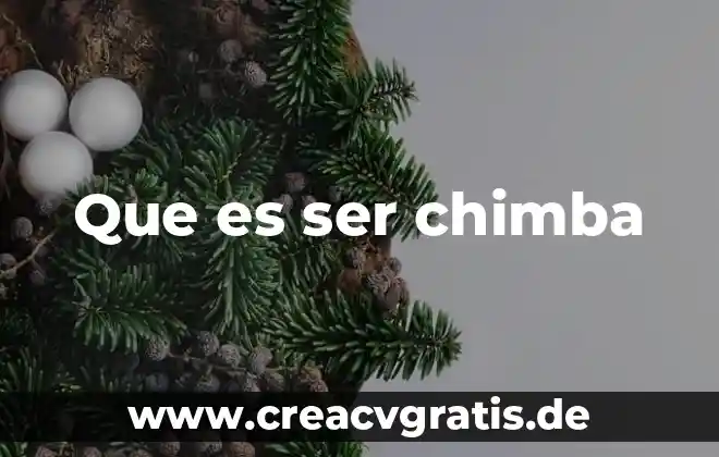 Que es ser economico administrativo 8 Que es ser chimba