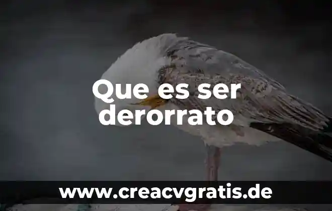 Que es ser un pais independiente 4 Que es ser derorrato