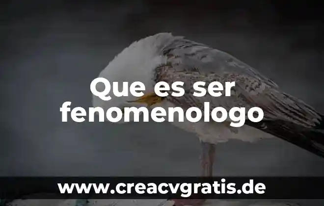 Que es ser medica en educacion 8 Que es ser fenomenologo