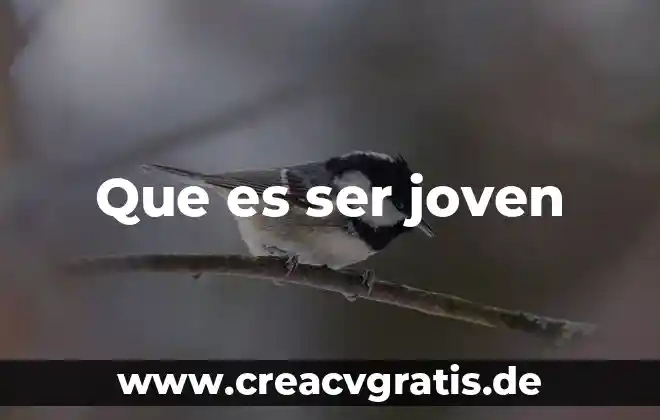 Que es necesario para ser trader 3 Que es ser joven
