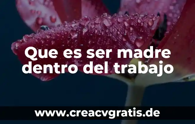 Dentro de las características de C++ que es portabilidad 6 Que es ser madre dentro del trabajo