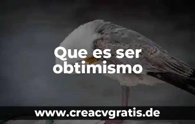 Que es ser cri 3 Que es ser obtimismo