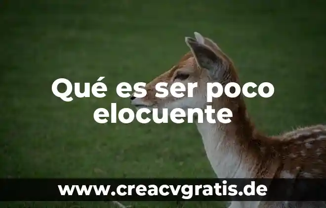 Qué es el ser para schopenhauer 4 Qué es ser poco elocuente