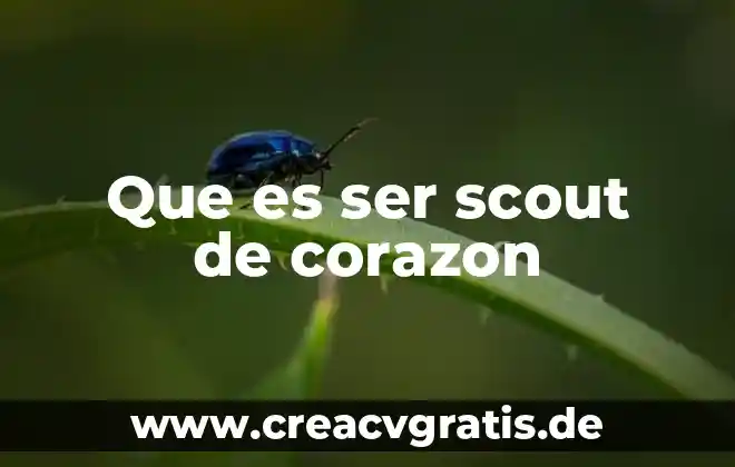Qué es ser caminante scout 5 Que es ser scout de corazon