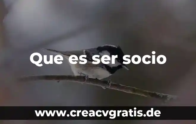 Que es en peso es los ser humano 6 Que es ser socio