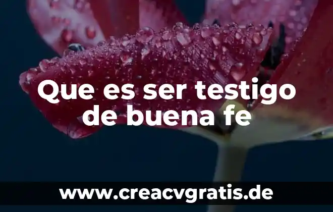 Qué es lo que exige ser un buen líder cristiano 5 Que es ser testigo de buena fe