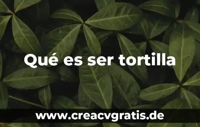 Qué es ser un país subdesarrollado 4 Qué es ser tortilla