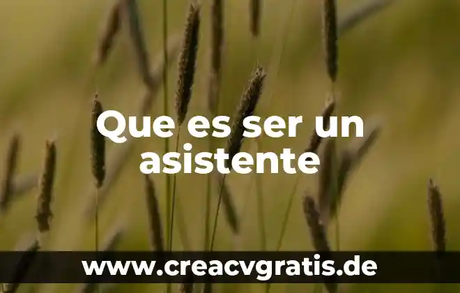 Que es un asistente de sistemas 4 Que es ser un asistente