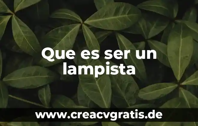 Que es ser medica en educacion 7 Que es ser un lampista