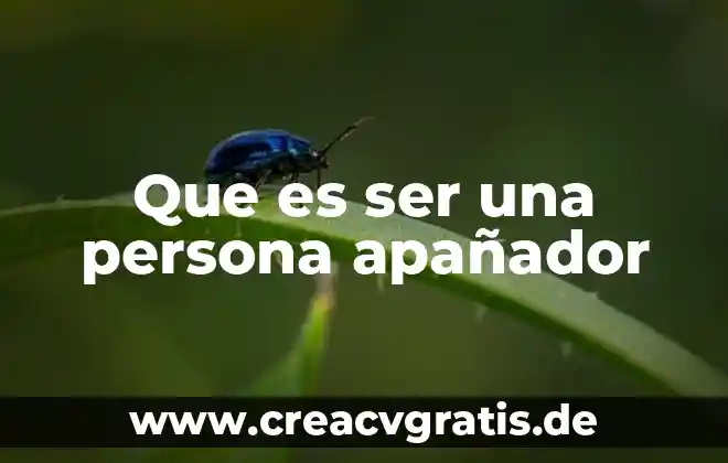 Que es el examen en casa 7 Que es ser una persona apañador