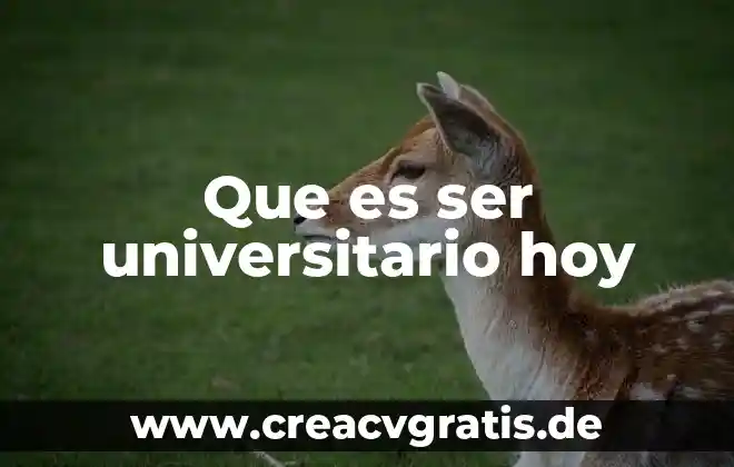 Que es ser santo hoy 7 Que es ser universitario hoy