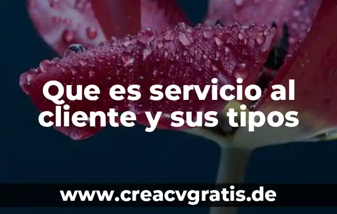 Qué es metodología y sus tipos 3 Que es servicio al cliente y sus tipos
