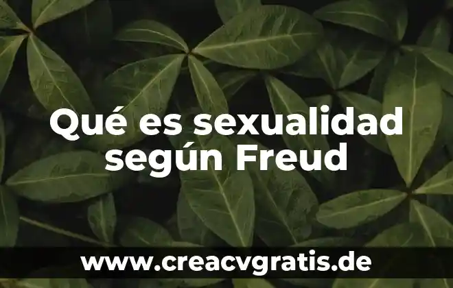 Enlace punto a punto que es 7 Qué es sexualidad según Freud