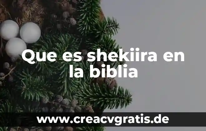 Que es la segunda muerte especificamente en la biblia 7 Que es shekiira en la biblia