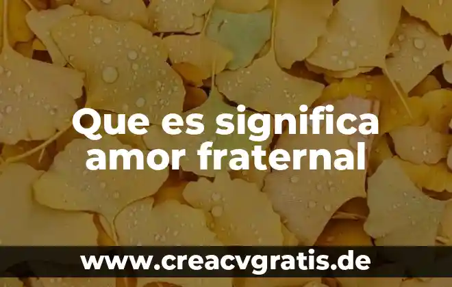 Que es estudio de preliminar 7 Que es significa amor fraternal
