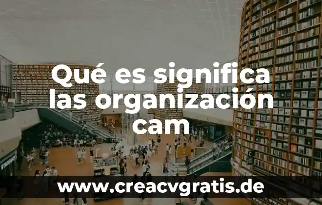 Organización que es una función, función legalización, jerarquías 5 Qué es significa las organización cam