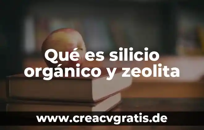 Que es esqueleto organico 5 Qué es silicio orgánico y zeolita