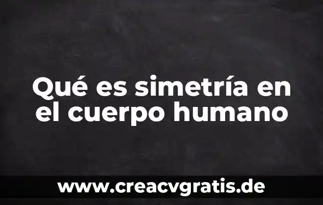 Que es el eje de simetria para niños 3 Qué es simetría en el cuerpo humano