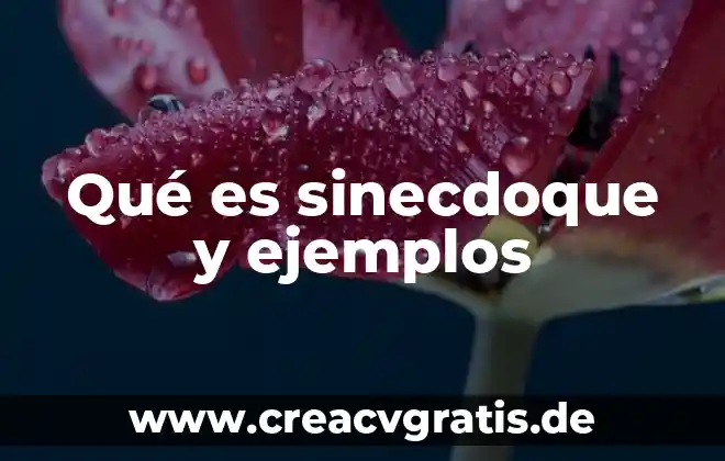 Qué es un tiempo compuesto ejemplos 3 Qué es sinecdoque y ejemplos