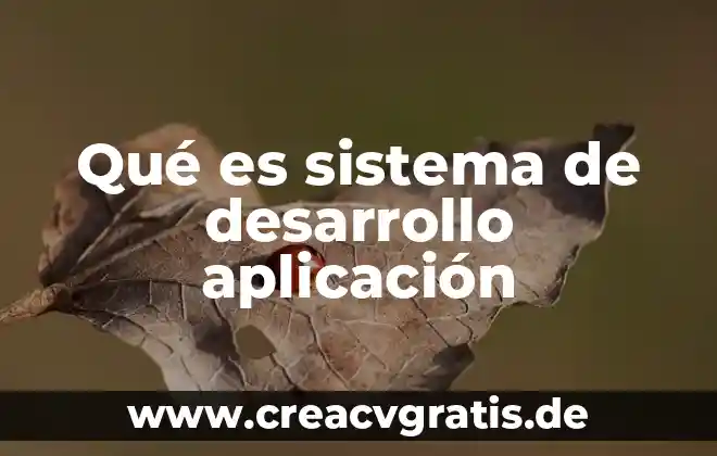 Que es sistema ser humano productor 6 Qué es sistema de desarrollo aplicación
