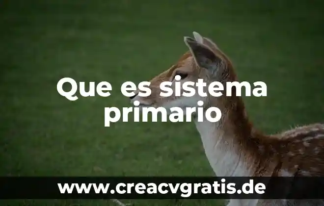Que es un sistema numerico octal 3 Que es sistema primario